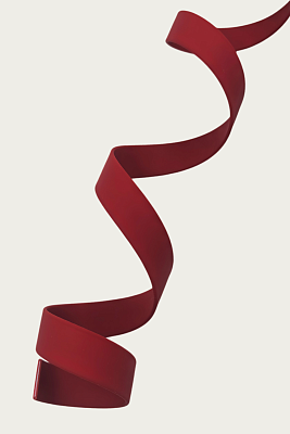 Стропа биотан 25мм бордовая (оптовая цена от 50 м -120 р)