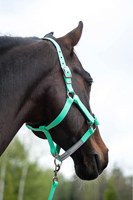 Стропа биотан 15мм черная (оптовая цена от 50 м -95 р)