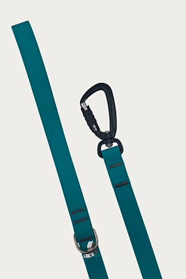 Поводок 20 мм (биотан) алюминиевый карабин, бирюзовый