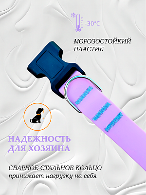 Ошейник из биотана 20 мм сиреневый (оптовая цена от 10 шт. -250 р)