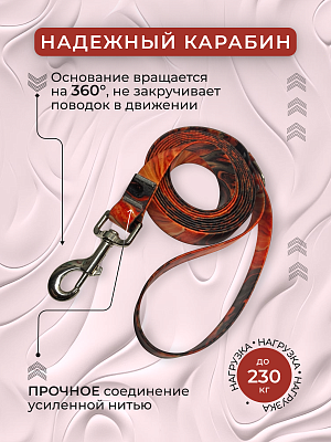 Поводок из биотана 25 мм, (карабин 80х26), flame