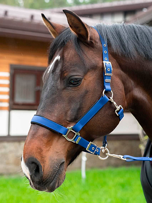 Стропа биотан 10мм черная (оптовая цена от 50 м -90 р)