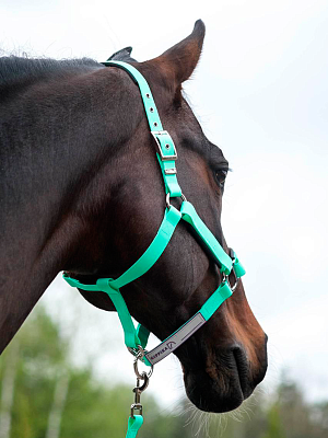 Стропа биотан 10мм черная (оптовая цена от 50 м -90 р)