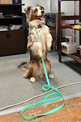 Стропа биотан 15мм черная (оптовая цена от 50 м -95 р)