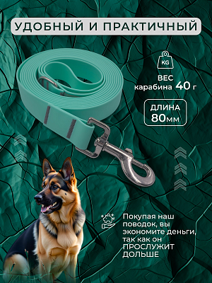 Поводок из биотана 25 мм, (карабин 80х26), тиффани