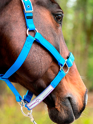 Стропа биотан 10мм черная (оптовая цена от 50 м -90 р)