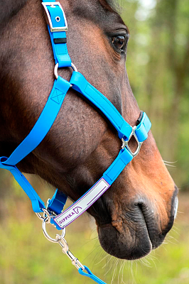 Стропа биотан 15мм черная (оптовая цена от 50 м -95 р)