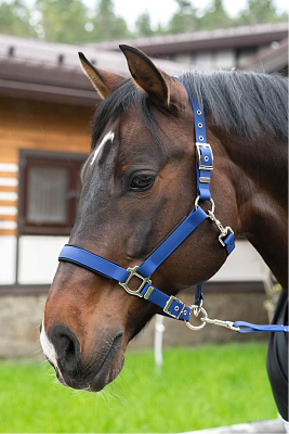 Стропа биотан 15мм черная (оптовая цена от 50 м -95 р)