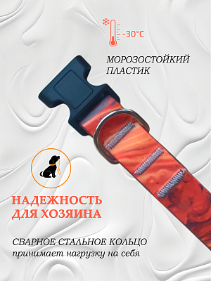 Ошейник из биотана 25 мм Flame (оптовая цена от 10 шт. -280 р)