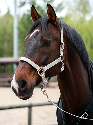 Стропа биотан 10мм черная (оптовая цена от 50 м -90 р)