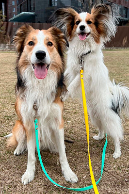 Поводок из биотана 15 мм, тиффани